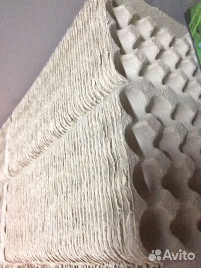 Ячейки для перепелиных яиц