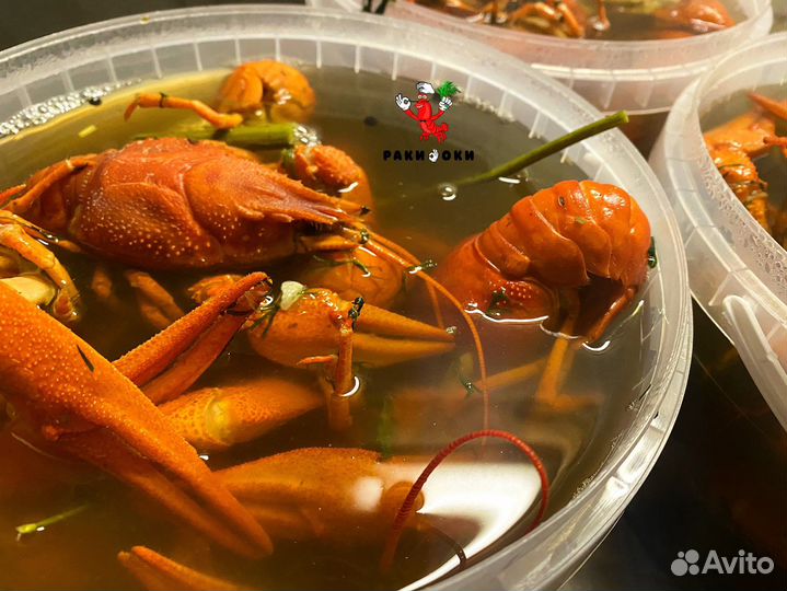 Живые и вареные волжские раки речные дикие