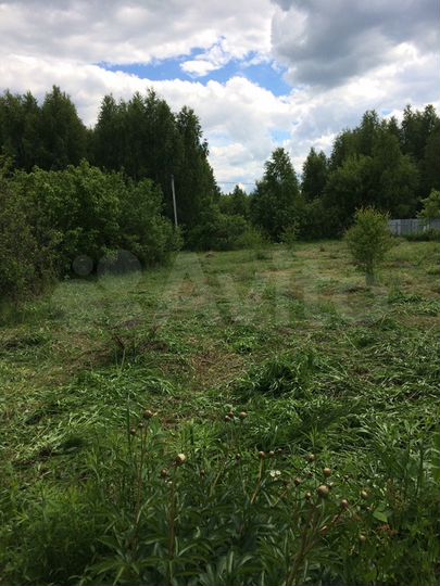 Участок 10 сот. (СНТ, ДНП)