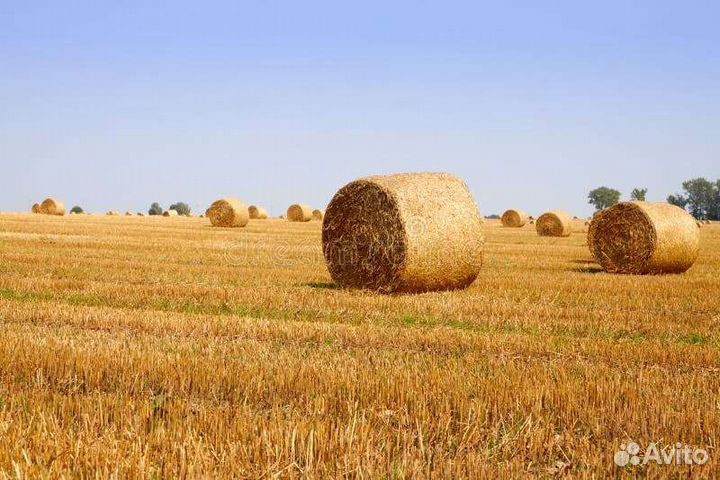 Солома в рулонах