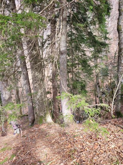 Участок 8 сот. (ИЖС)