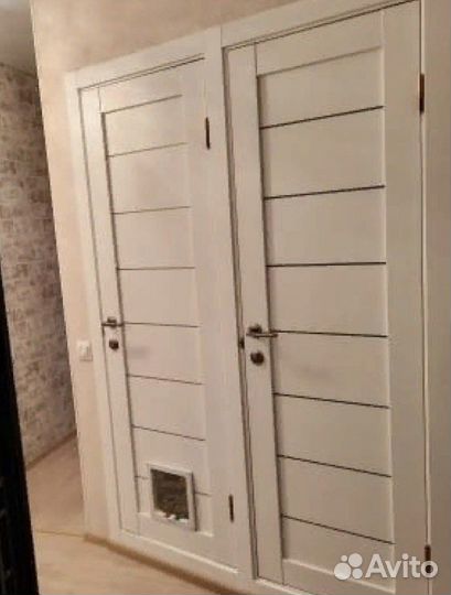 Дверца для кота/котоход