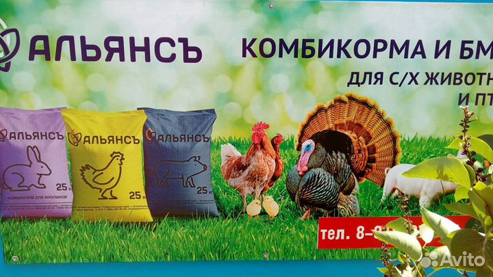 Комбикорма ставропольский край. Комбикорм Альянс. Корм для бройлеров Альянс. Альянс комбикорма для перепелов. Альянс комбикорм Изобильный.