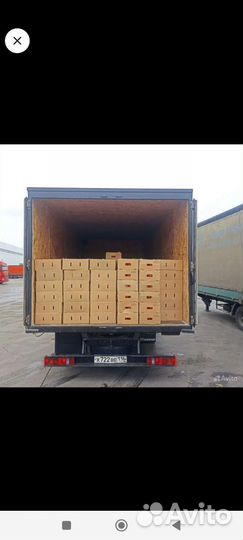 Грузоперевозки 5т