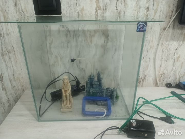 Аквариумные рыбки