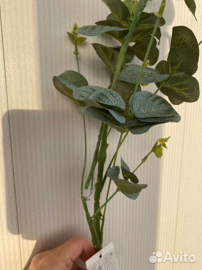 Эвкалипт искусственный (6 веток)