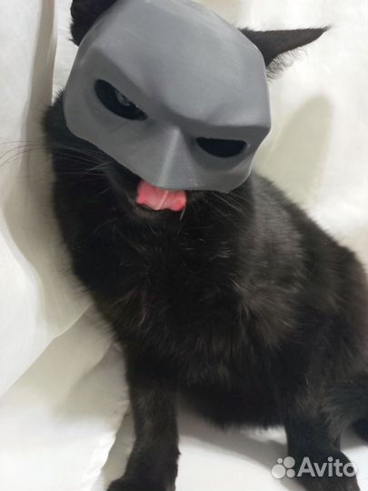 Маска для кота