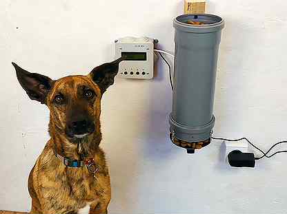 Автокормушка для больших собак электронная