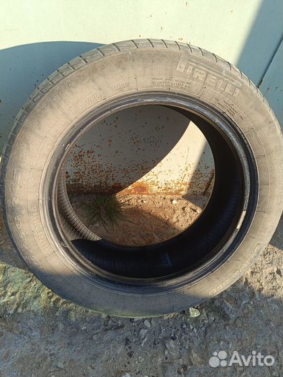 Pirelli Cinturato P1 Verde 185/65 R15 84H