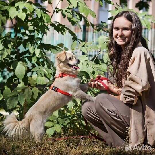 Аделька ищет семью