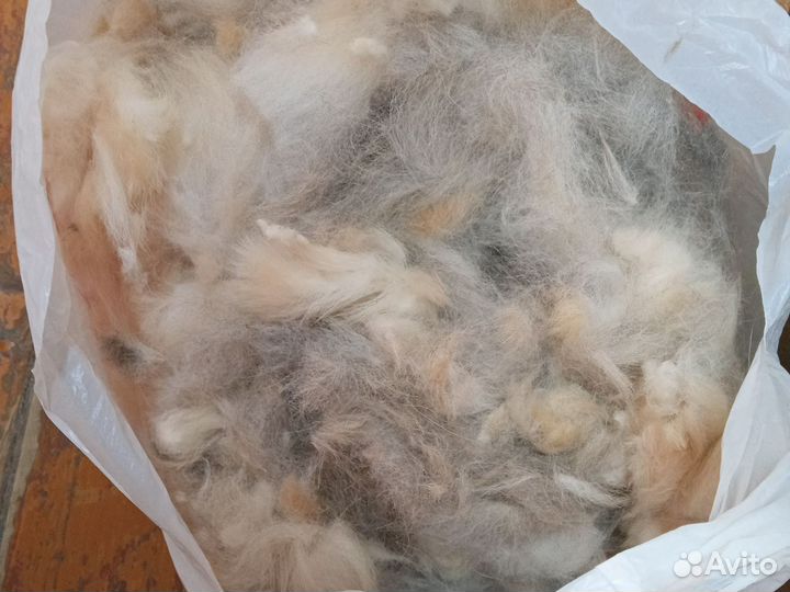 Шерсть с собаки за шоколадку