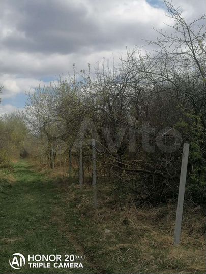 Участок 12 сот. (СНТ, ДНП)