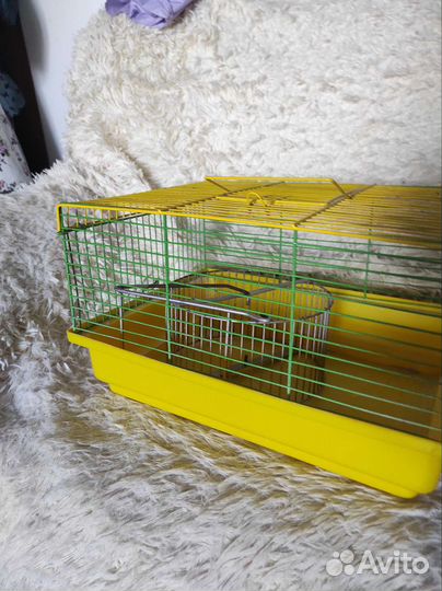 Клетка с колесом