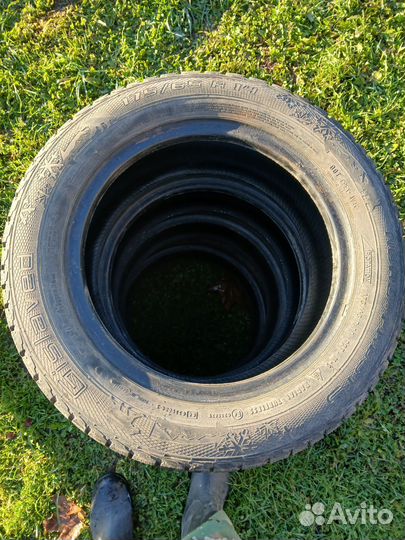 Gislaved Nord Frost 5 175/65 R14