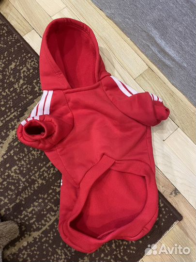 Одежда для собак