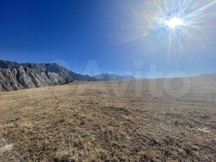 Участок 100 сот. (СНТ, ДНП)