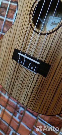 Укулеле концерт с подключением