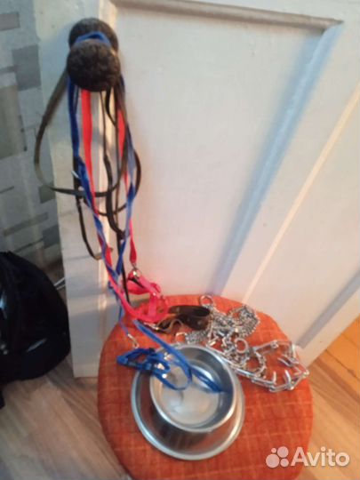 Поводки и ошейники для собак