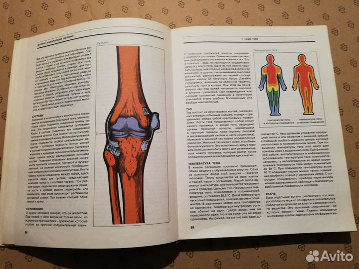 Детская энциклопедия здоровья, словац. изд. Освета