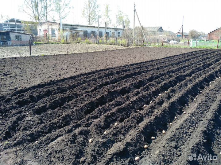 Вспашка земли мотоблоком
