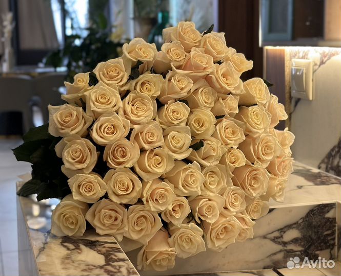 Букет 51 роза кремовые красивые пышные цветы