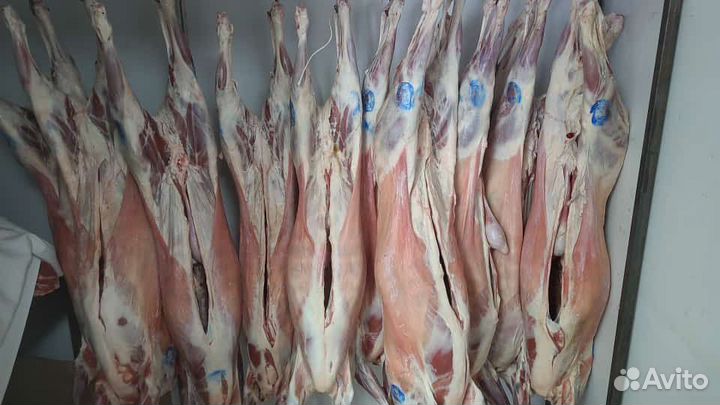 Мясо говядина баранина дагестанская халяль