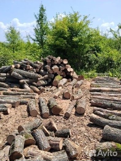 Продаю дрова