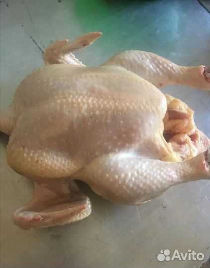 Мясо бройлера