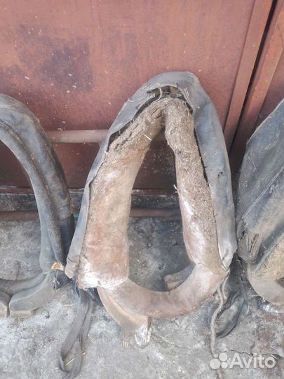 Лошадиная сбруя