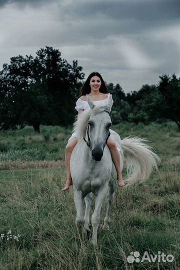 Катание на лошадях Новопавловск