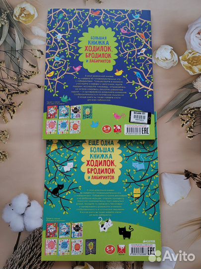 Большая книжка ходилок, бродилок и лабиринтов