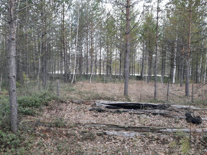 Участок 12 сот. (СНТ, ДНП)