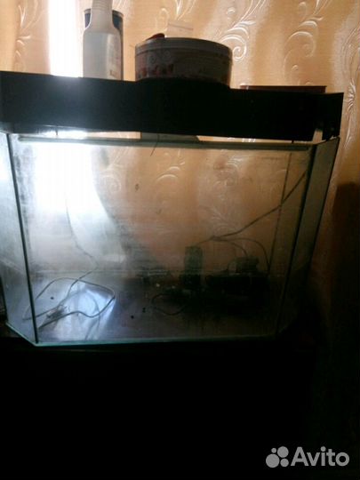 Аквариум