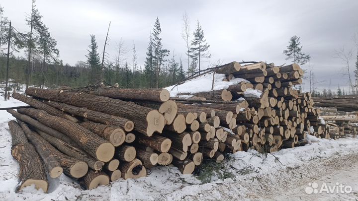 Лес кругляк пиловочник