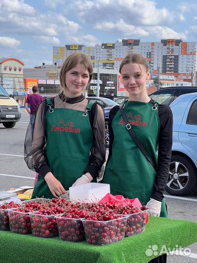 Продавцы клубники у Торговых центров