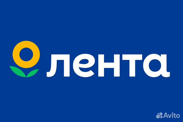 Продавец универсал оплата каждый день