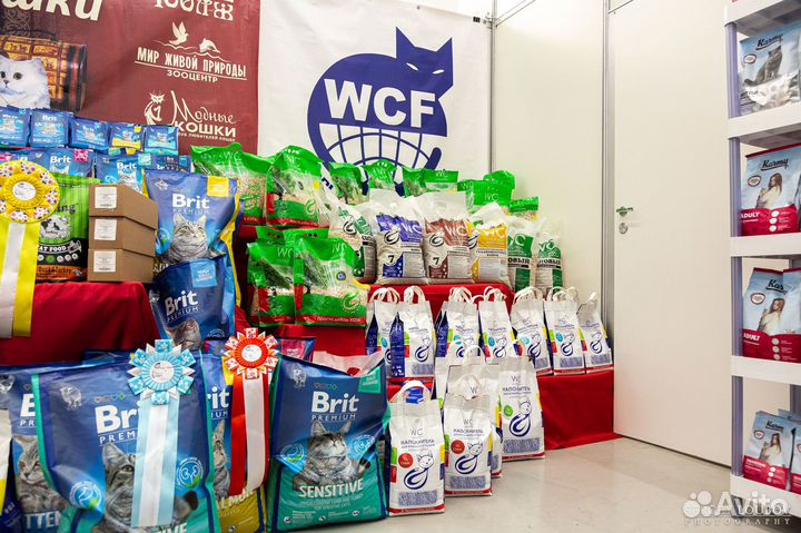 Наполнитель кошачьих туалетов 