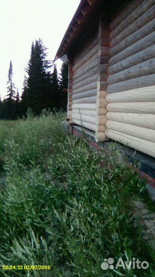 Строим дома, бани, с бруса, бревна под ключ