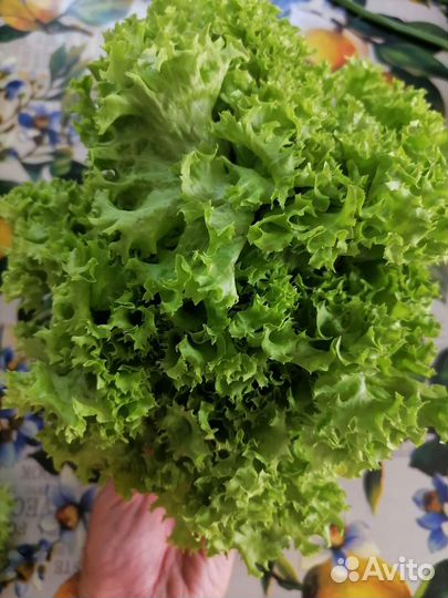 Доставка овощей и фруктов