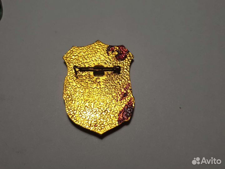 Значок дружинник