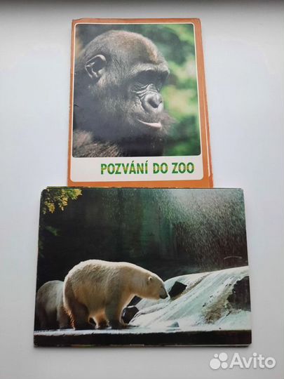 Набор открыток