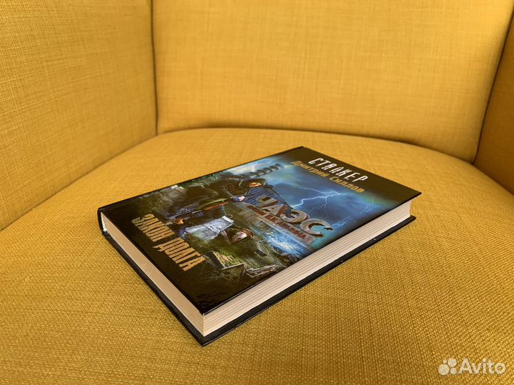 Закон Долга - Дмитрий Силлов. Сталкер