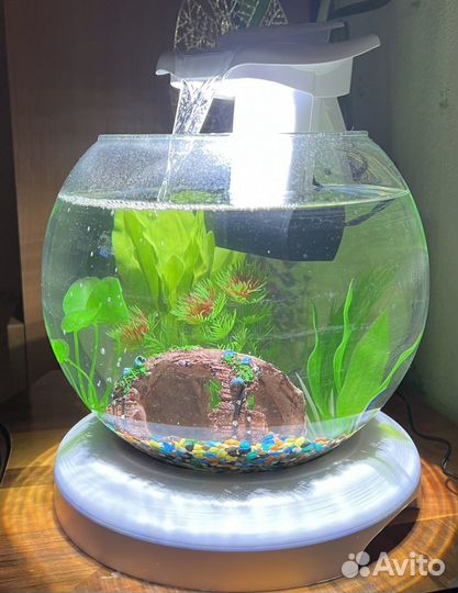 Аквариум