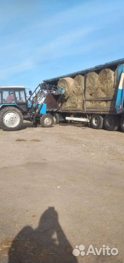 Сено в рулонах/Доставка/опт