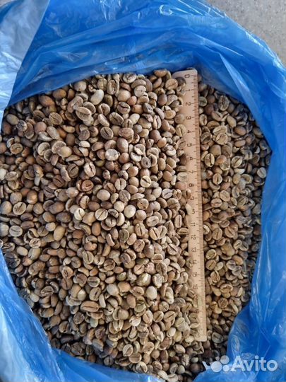 Зеленый кофе Робуста Уганда