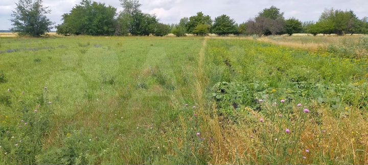 Участок 25 сот. (ИЖС)