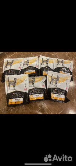 Корм про план obesity