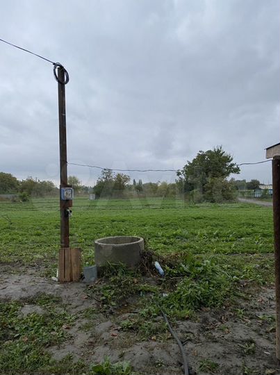 Участок 54 сот. (СНТ, ДНП)