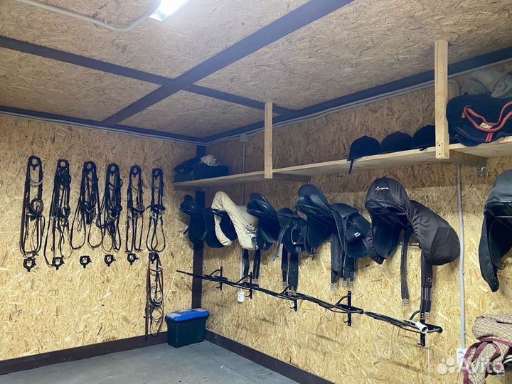 Постой лошадей