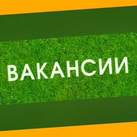 Сборщик авто вахта Выплаты еженедельно Жилье/Еда +Хорошие условия